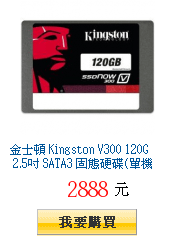 金士頓 Kingston V300 120G 2.5吋 SATA3 固態硬碟(單機包裝)