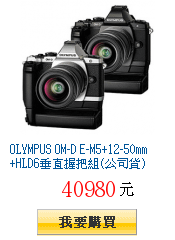 OLYMPUS OM-D E-M5+12-50mm+HLD6垂直握把組(公司貨)