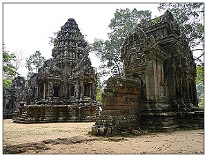 P1030345-1.jpg