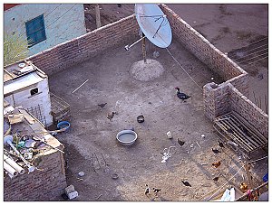 P1180602-1