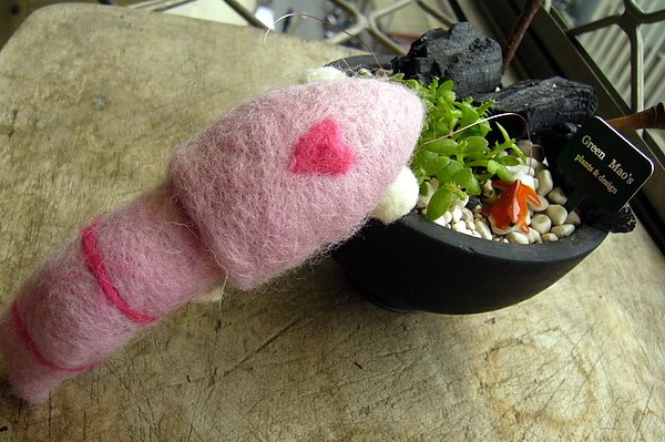 櫻花蝦背面的小愛心.JPG