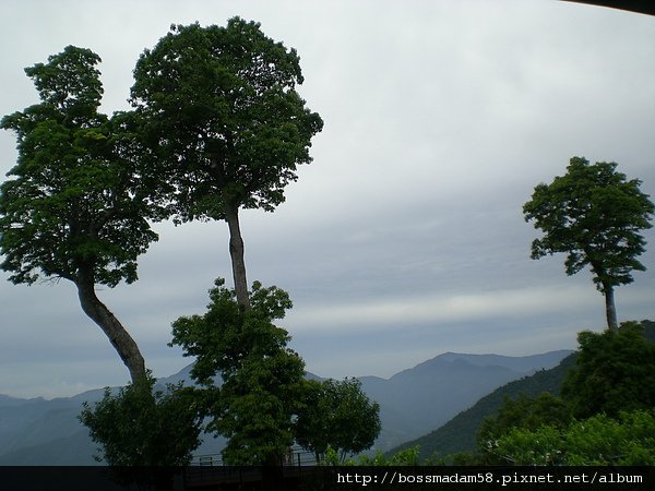 DSCN1008.JPG