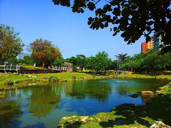 原生植物園.jpg