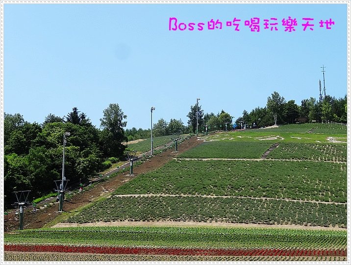 DSC03496.JPG