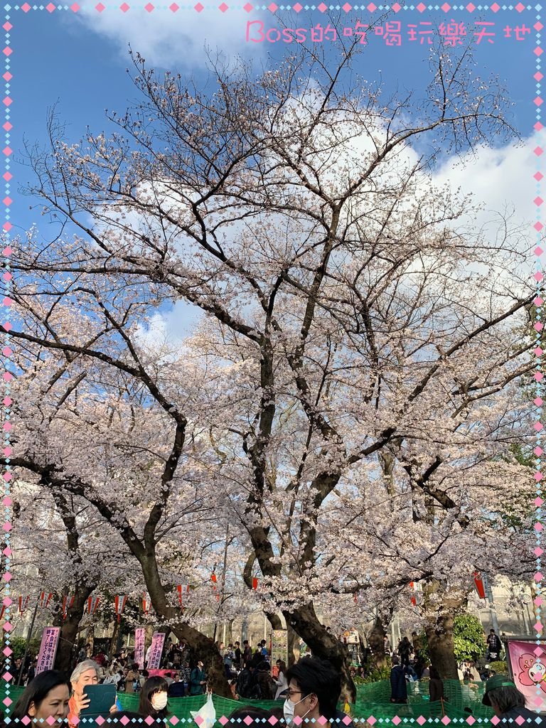 batch_IMG_6826.JPG