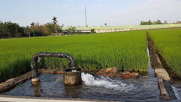 台中烏日區蘆竹南的自流井-20170420.jpg