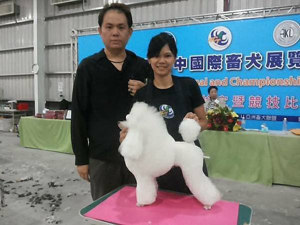 棉花糖寵美藝術（棉花小學糖作者） 小敏老師 簡介