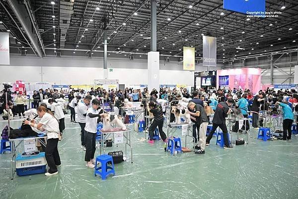 2024.12.5 ~12.8 【韓國 Korea】FCI世