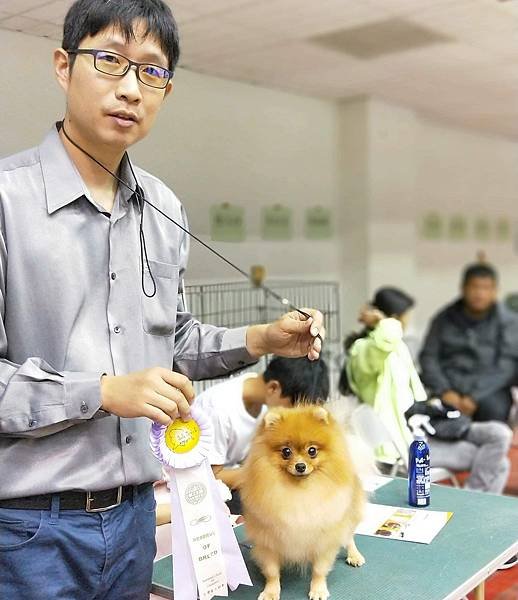 2018.12.2 KCT 南區聯合會犬展 (嘉義)