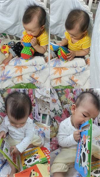8.看書.jpg