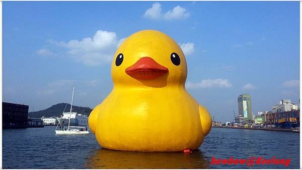 16.duck.jpg