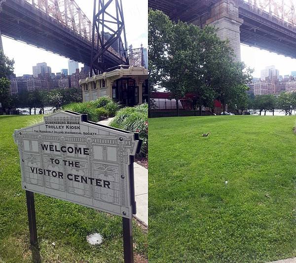 13.Roosevelt Island.jpg