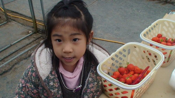 DSC00337.JPG