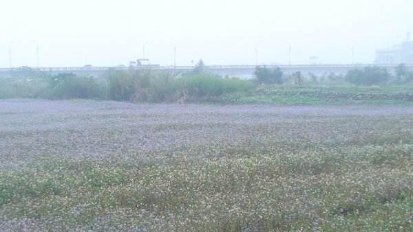 DSC00376.JPG