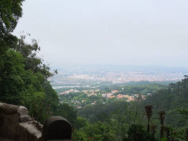 DSCF1238