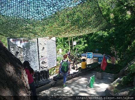 IMG_20160507_110154