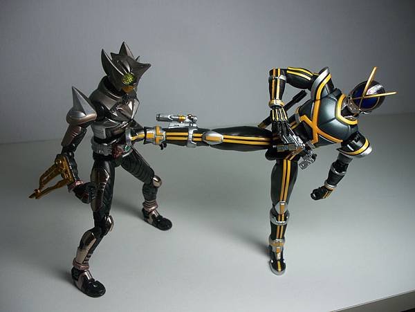 SHF 仮面ライダーカイザ (26).JPG