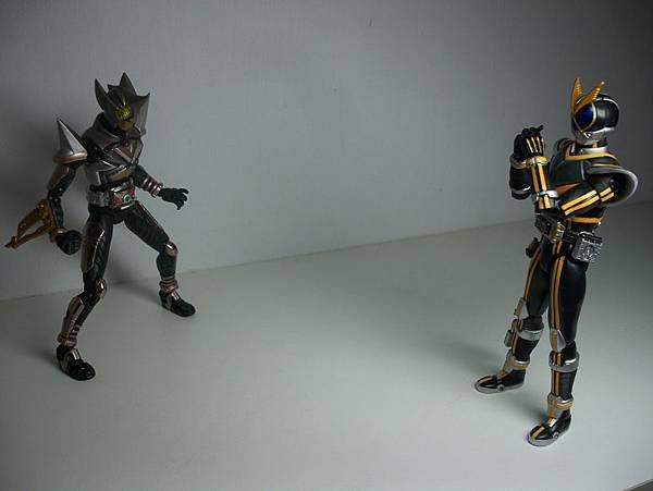 SHF 仮面ライダーカイザ (27).JPG