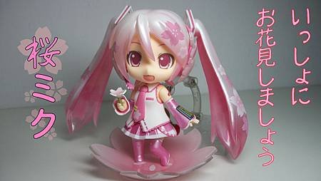 sakura miku