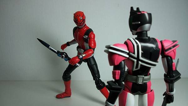 SHF ゴーカイレッド (40)