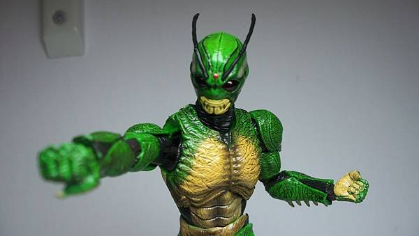 SHF 仮面ライダー真 (14).JPG