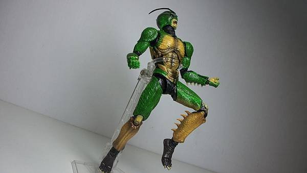 SHF 仮面ライダー真 (15).JPG