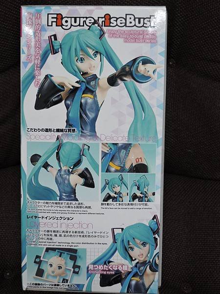 初音ミク 10th anniversary (4).JPG