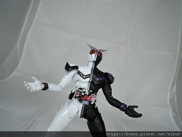 SHF 仮面ライダーダブル ファングジョーカー (12).JPG