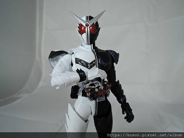 SHF 仮面ライダーダブル ファングジョーカー (11).JPG