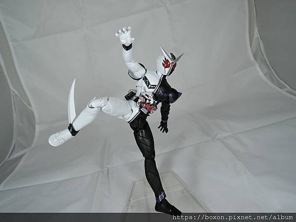 SHF 仮面ライダーダブル ファングジョーカー (46).JPG