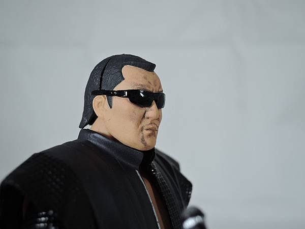 figma 蝶野正洋 (16).JPG