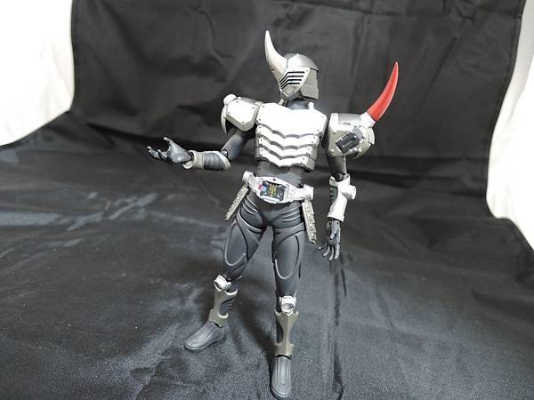 仮面ライダー龍騎 (100).JPG