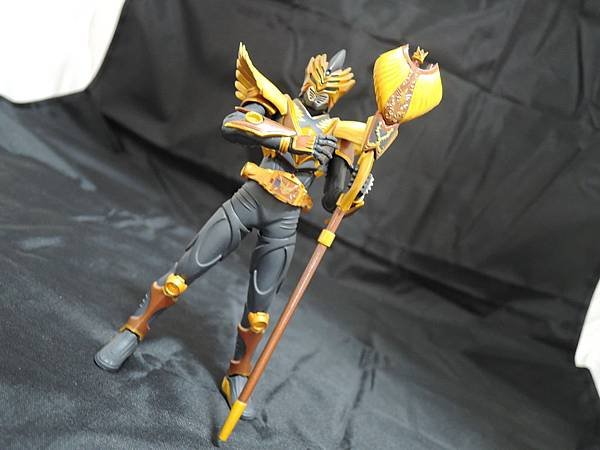 仮面ライダー龍騎 (144).JPG