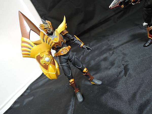 仮面ライダー龍騎 (150).JPG