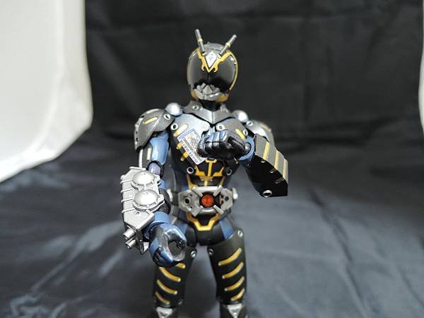 仮面ライダー龍騎 (216).JPG