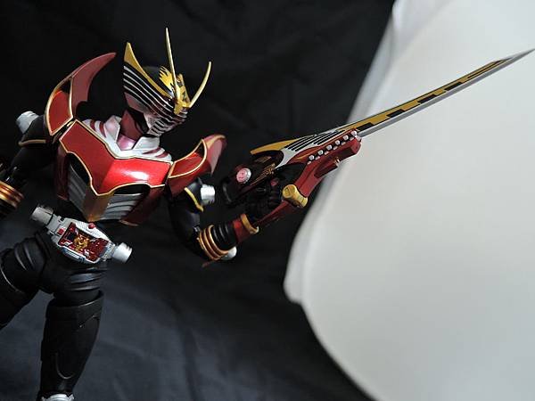 仮面ライダー龍騎 (267).JPG