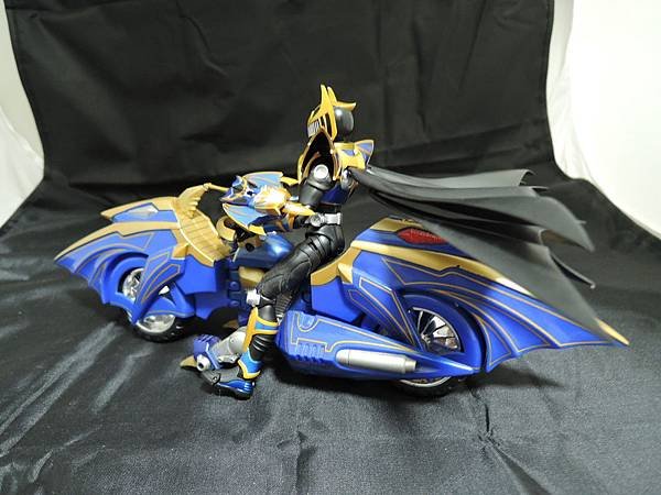 仮面ライダー龍騎 (271).JPG