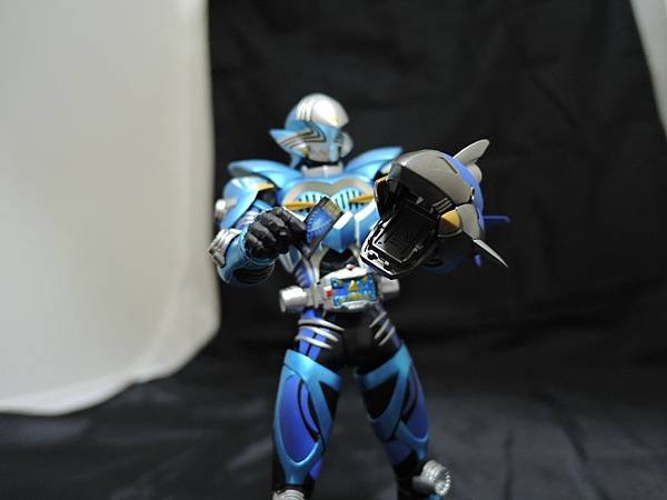 仮面ライダー龍騎 (291).JPG