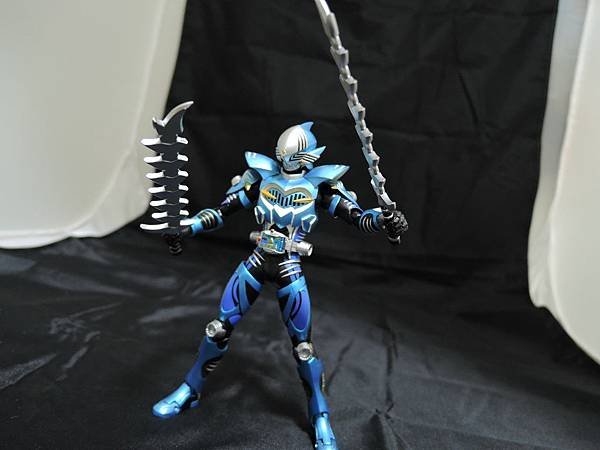 仮面ライダー龍騎 (293).JPG