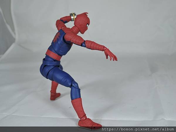 SHF スパイダーマッ (21).JPG