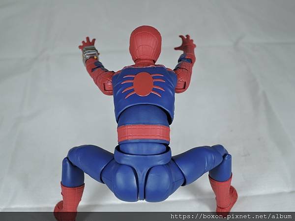 SHF スパイダーマッ (24).JPG