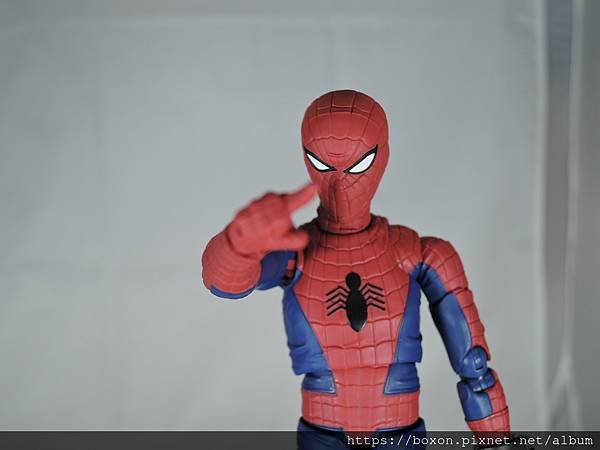 SHF スパイダーマッ (45).JPG