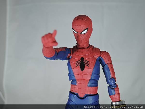 SHF スパイダーマッ (47).JPG