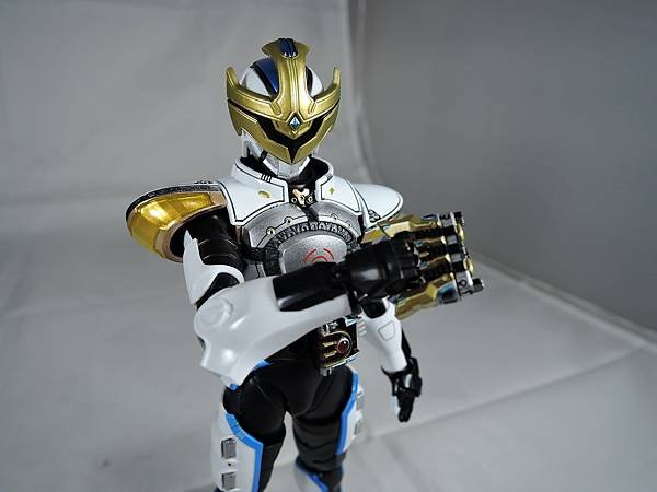 SHF 仮面ライダーイクサ (37).JPG