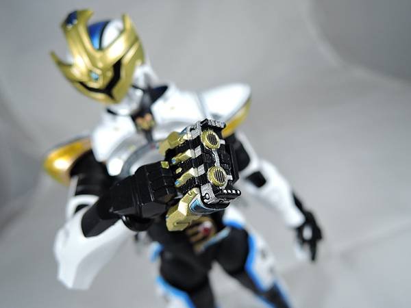 SHF 仮面ライダーイクサ (38).JPG