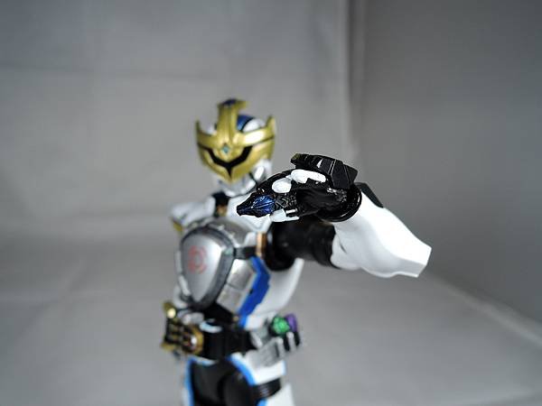 SHF 仮面ライダーイクサ (44).JPG