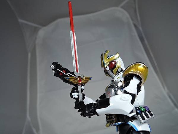 SHF 仮面ライダーイクサ (60).JPG