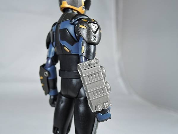 SHF 仮面ライダータイガ&amp;オルタナティブ (56).JPG