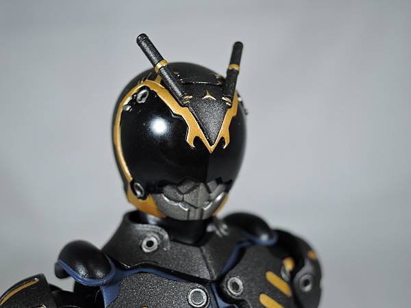 SHF 仮面ライダータイガ&amp;オルタナティブ (51).JPG