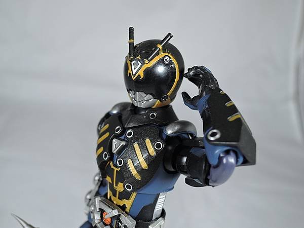 SHF 仮面ライダータイガ&amp;オルタナティブ (75).JPG